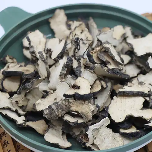 What Is Organic Polyporus Powder and How Does It Support Kidney Health?